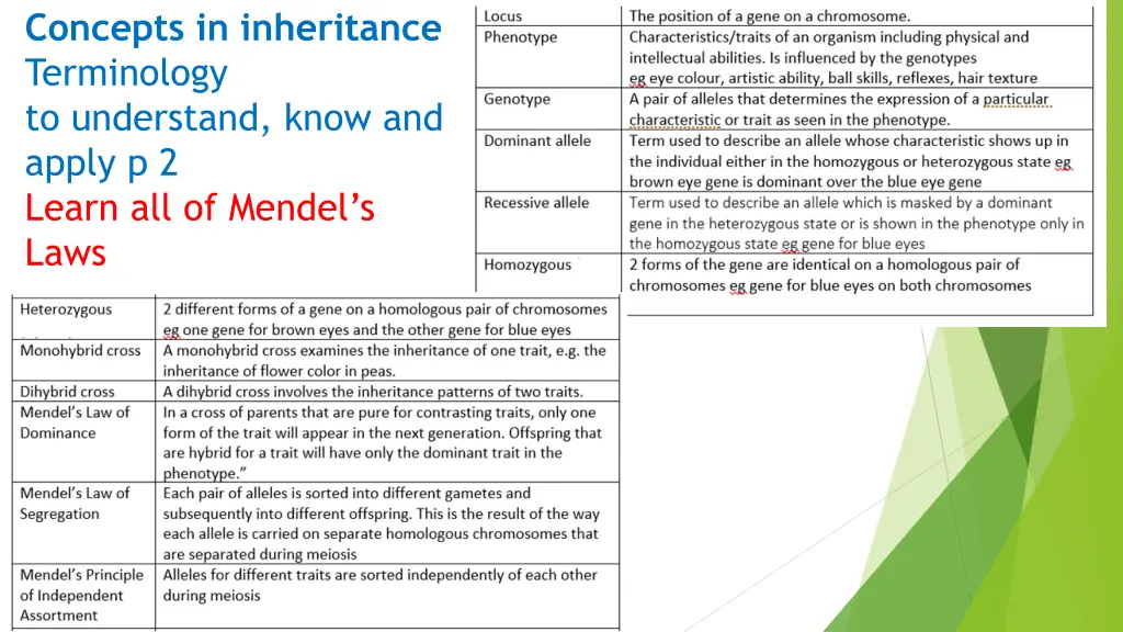 concepts in inheritance terminology to understand 1