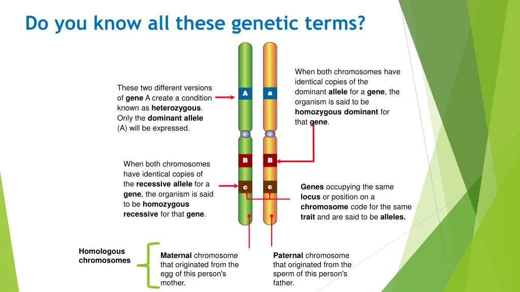 do you know all these genetic terms