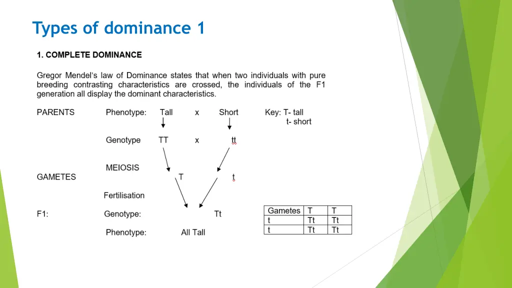 types of dominance 1