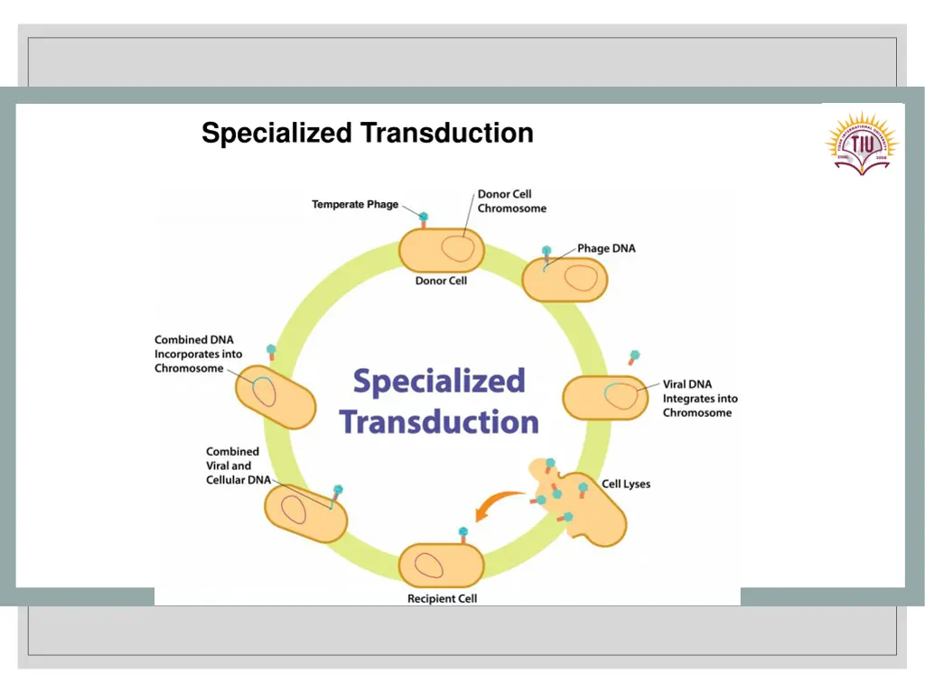 specialized transduction 1