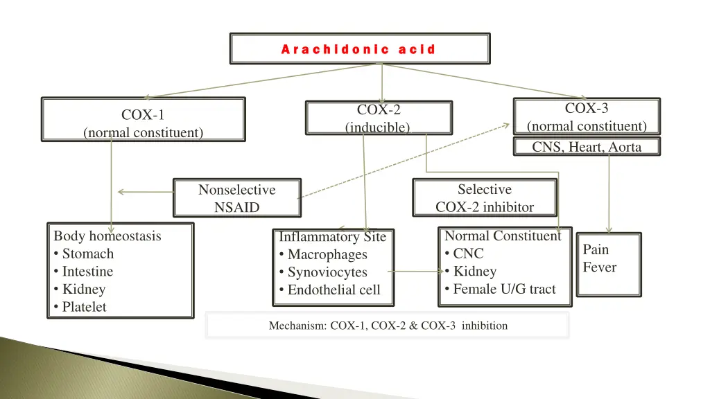 slide7