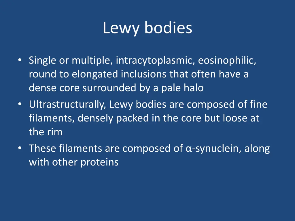 lewy bodies