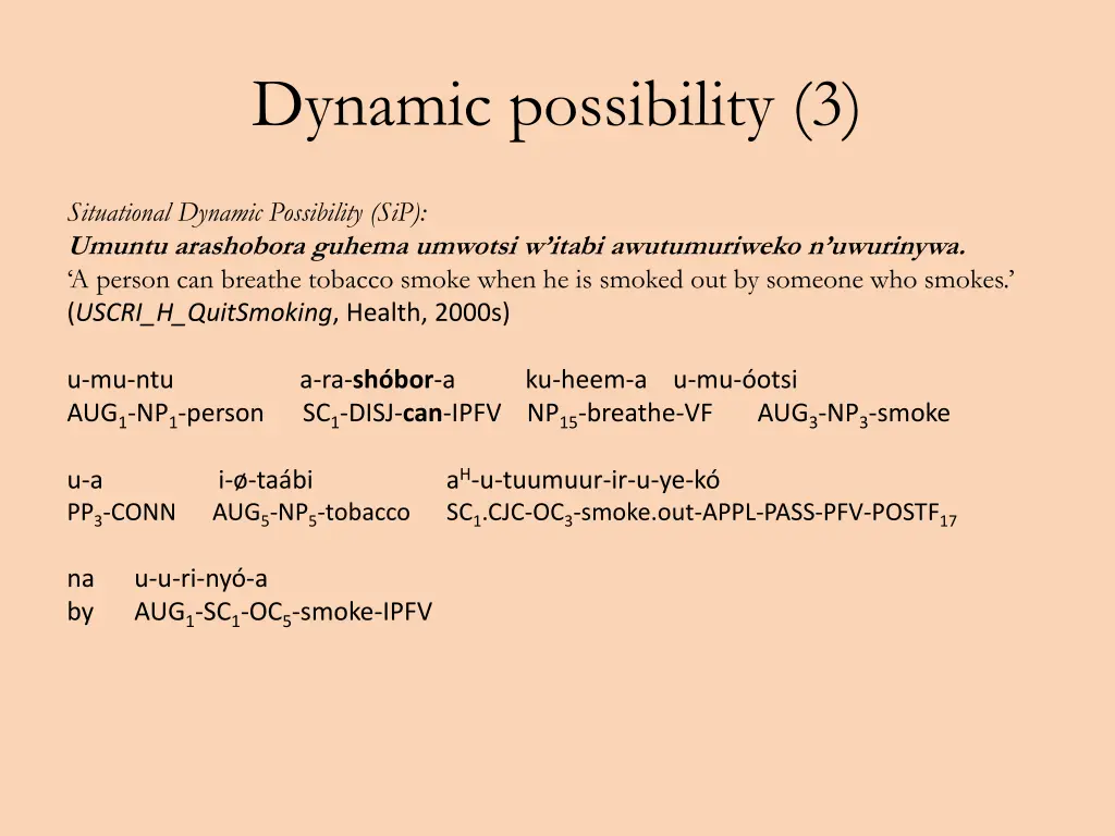 dynamic possibility 3