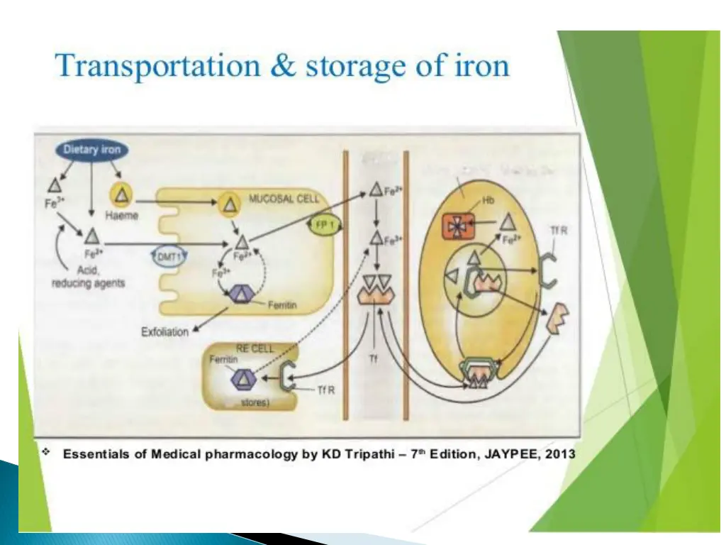 slide7