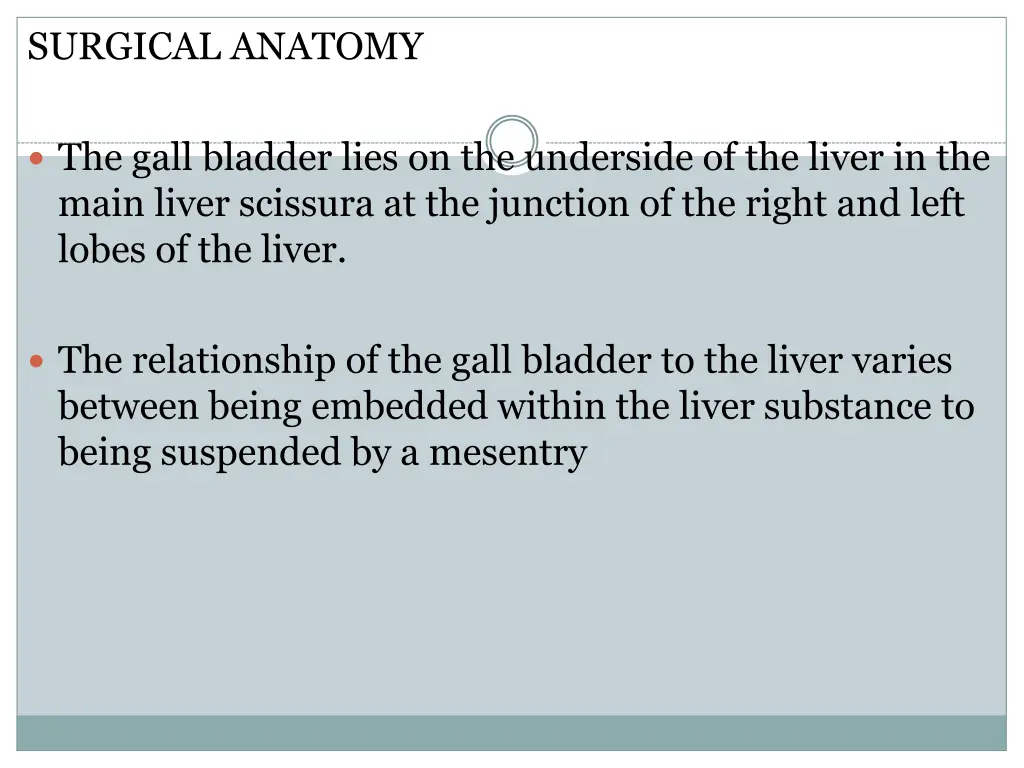 surgical anatomy