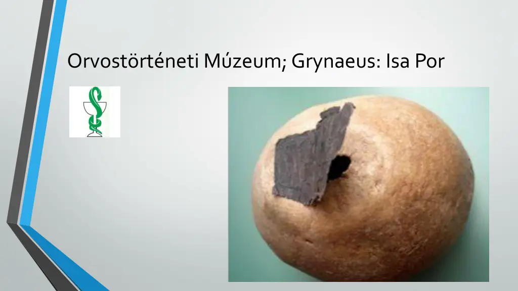 orvost rt neti m zeum grynaeus isa por