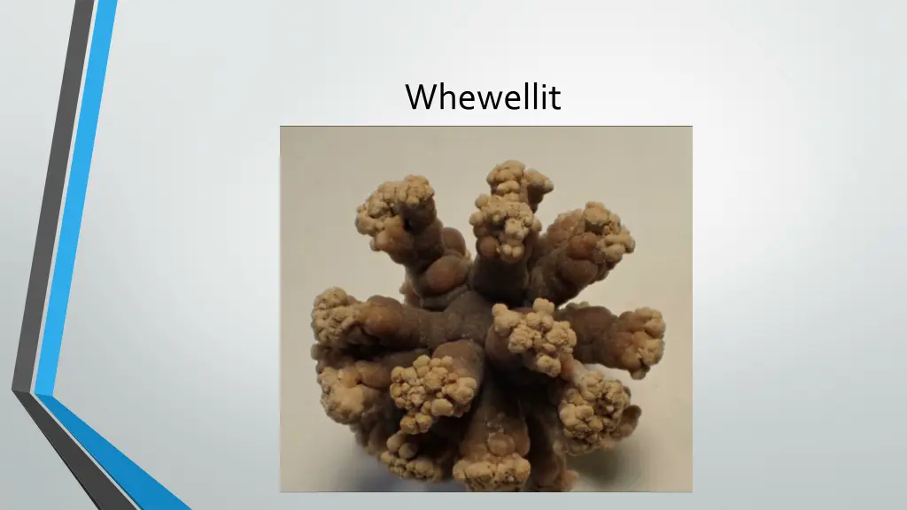 whewellit