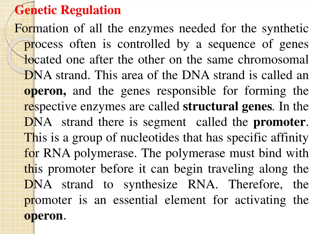genetic regulation formation of all the enzymes