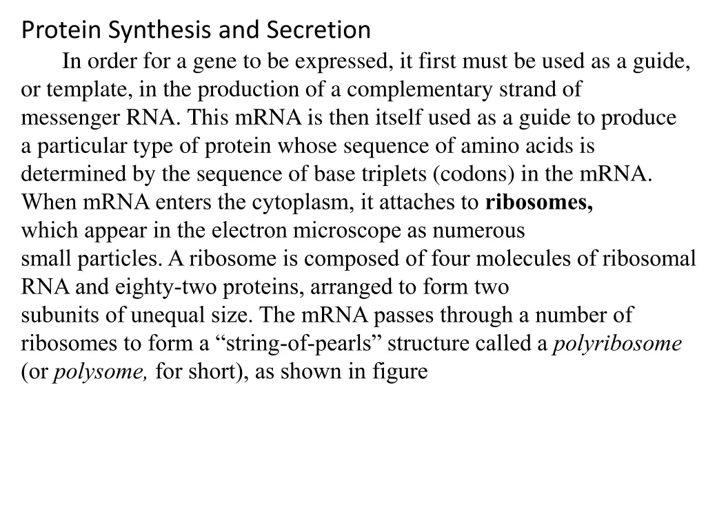 protein synthesis and secretion in order