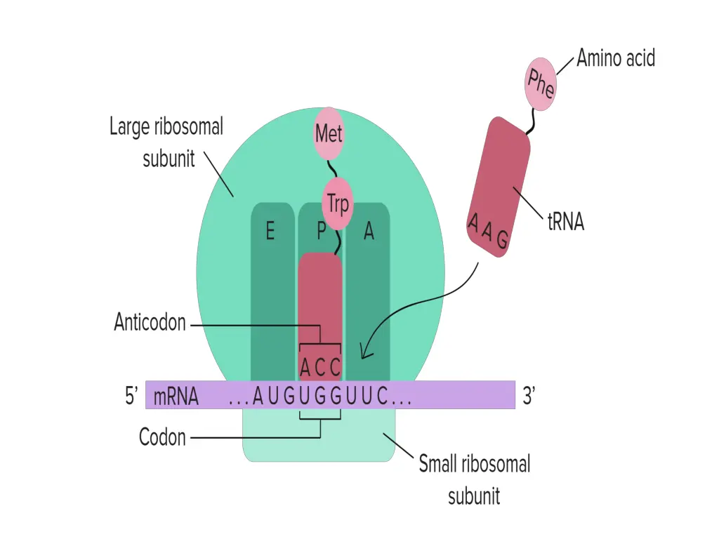 slide6