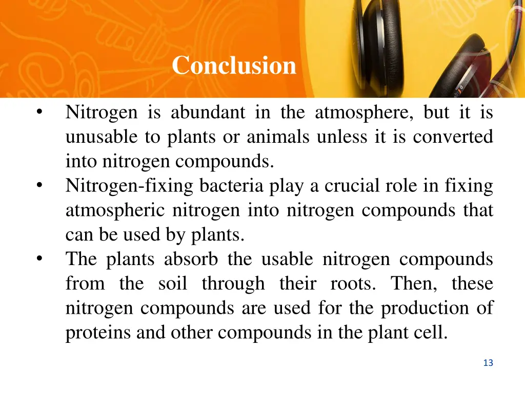 conclusion