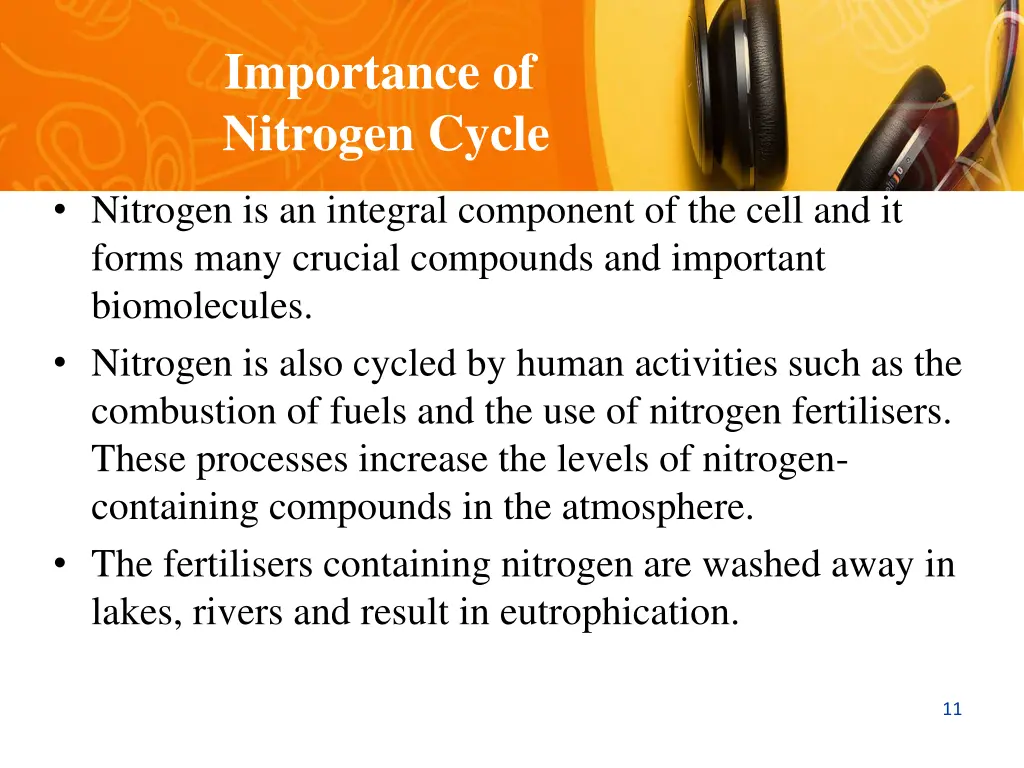 importance of nitrogen cycle 1
