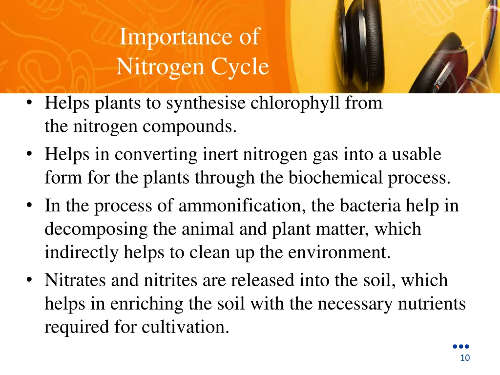 importance of nitrogen cycle