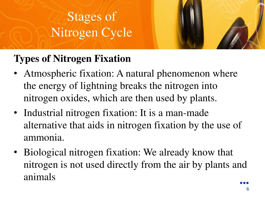 stages of nitrogen cycle 1