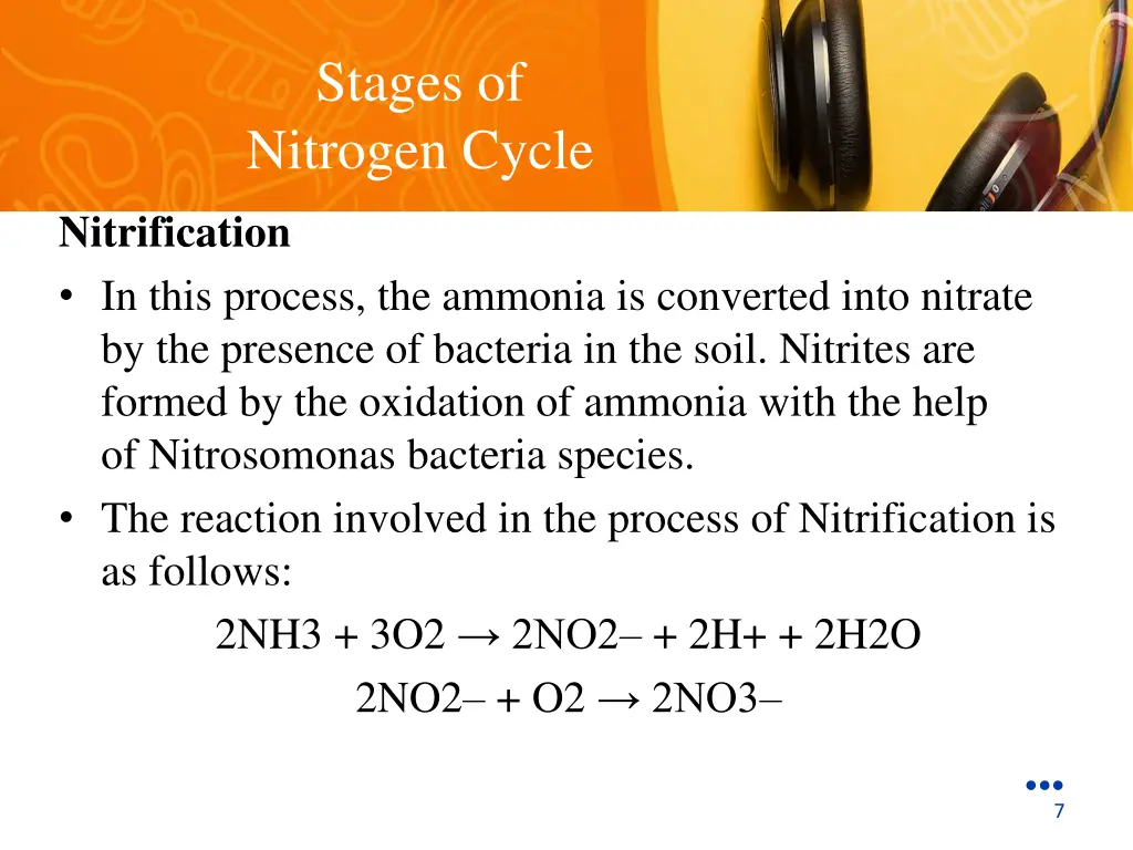stages of nitrogen cycle 2