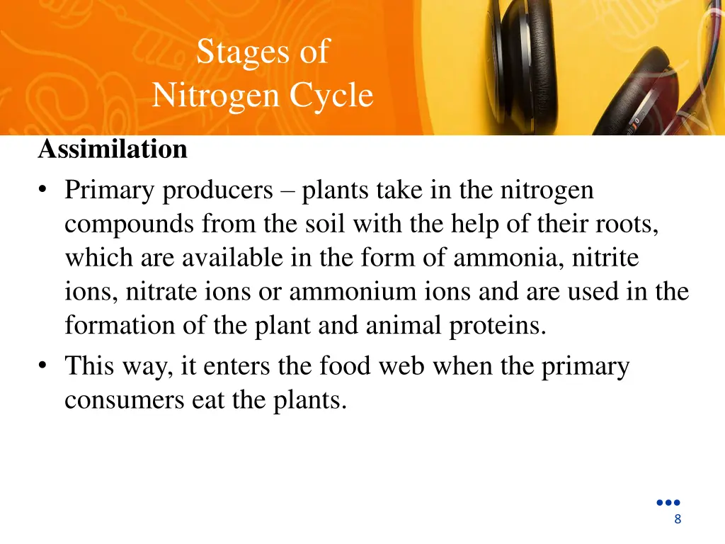 stages of nitrogen cycle 3