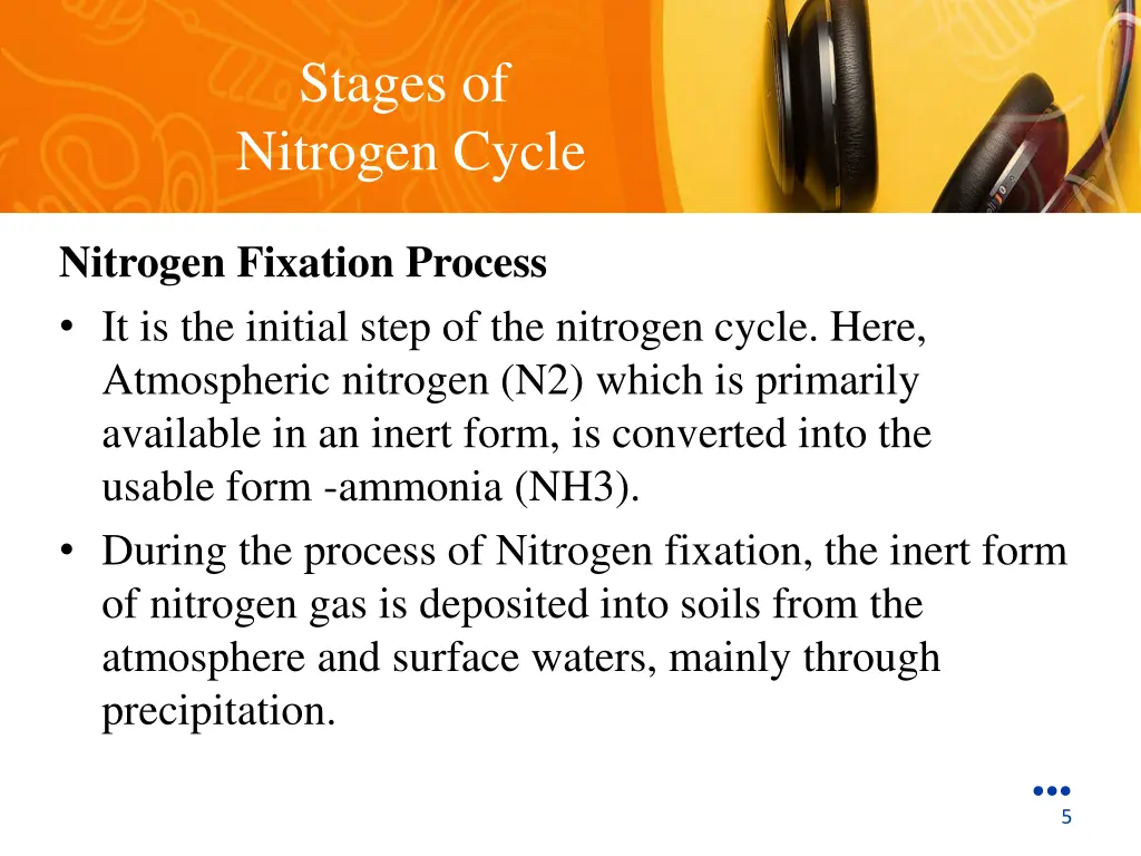 stages of nitrogen cycle