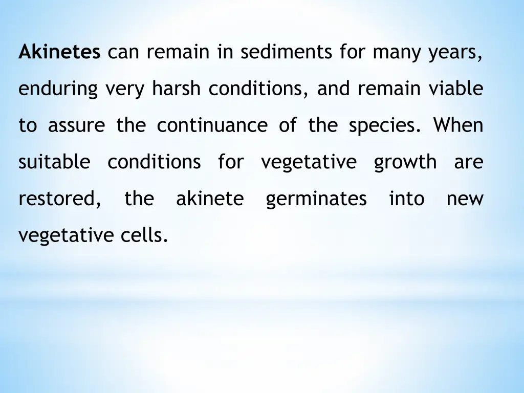 akinetes can remain in sediments for many years