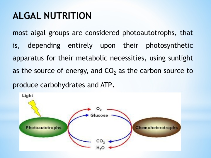 algal nutrition