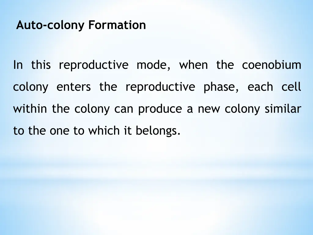 auto colony formation