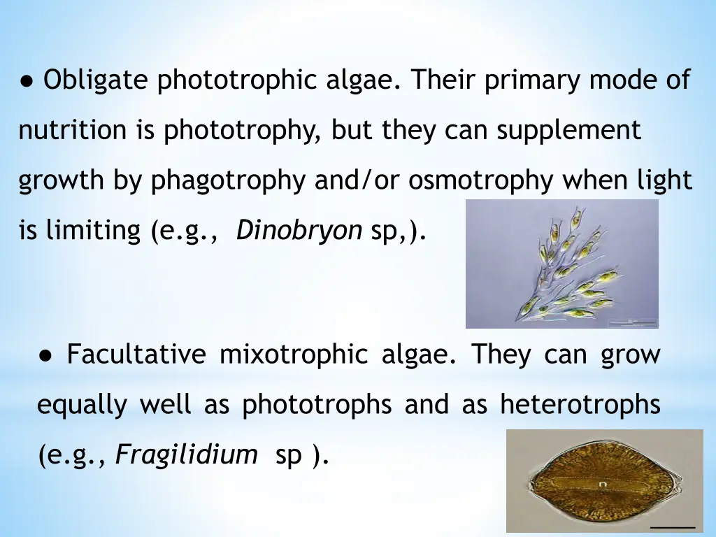 obligate phototrophic algae their primary mode of