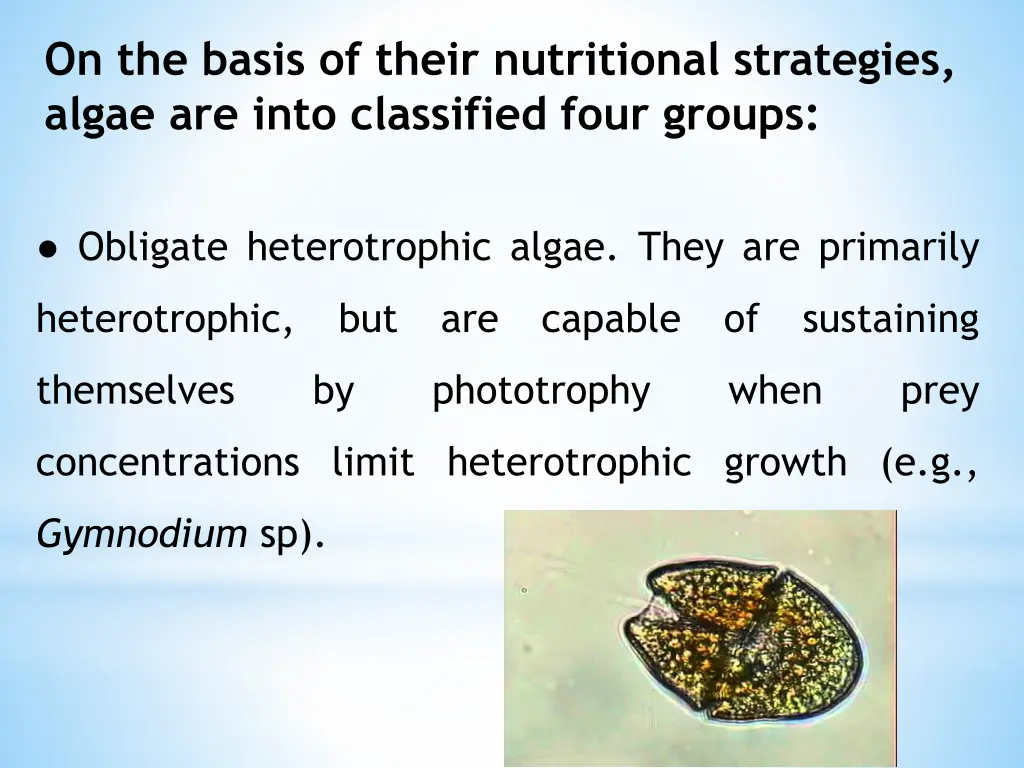 on the basis of their nutritional strategies
