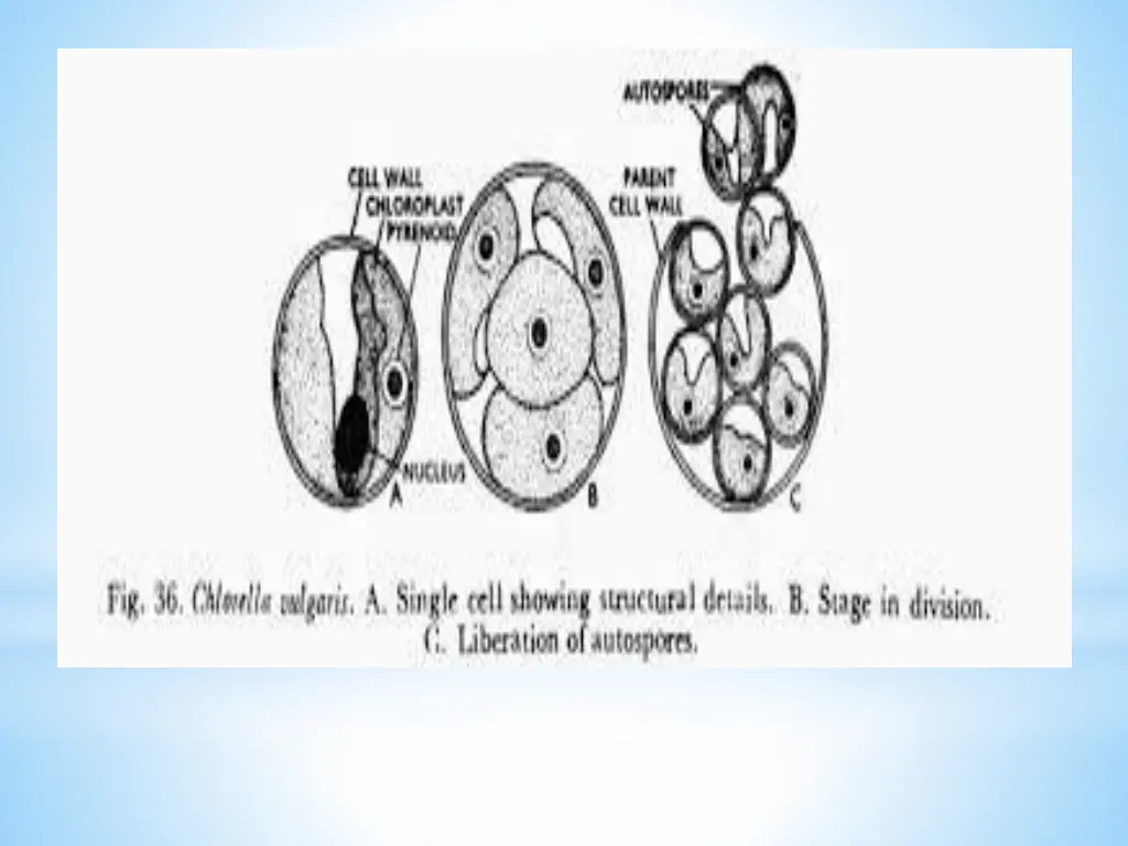 slide18