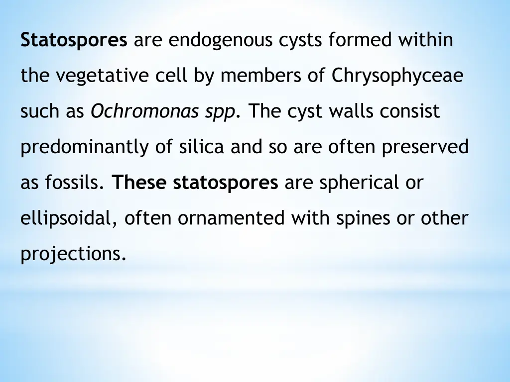 statospores are endogenous cysts formed within