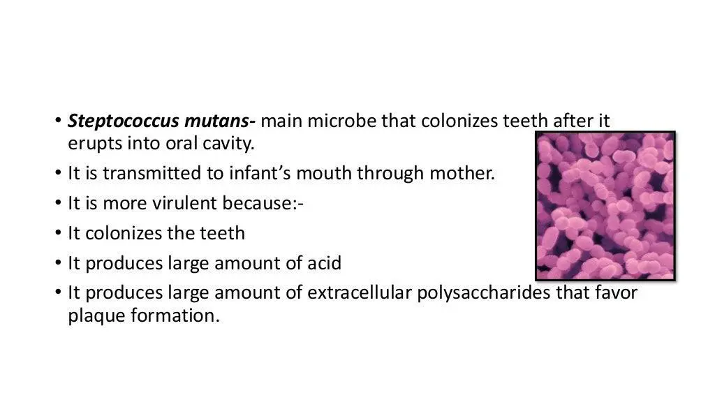 slide17