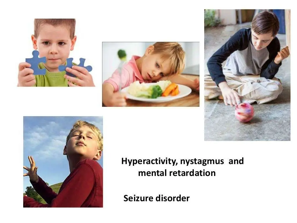 slide19