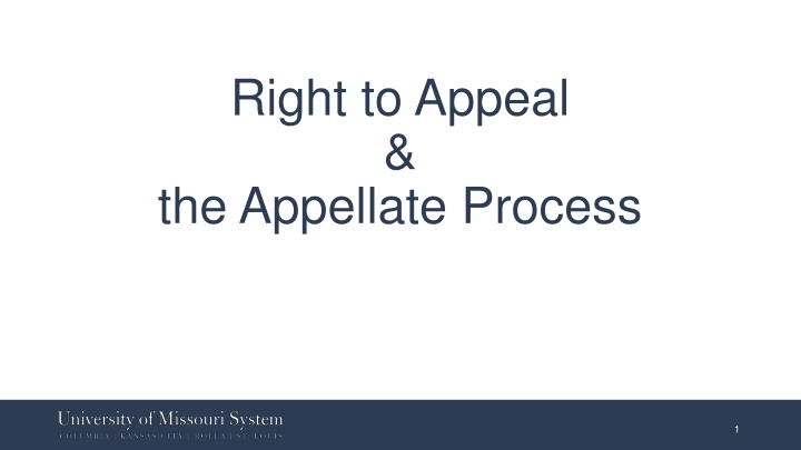 right to appeal the appellate process