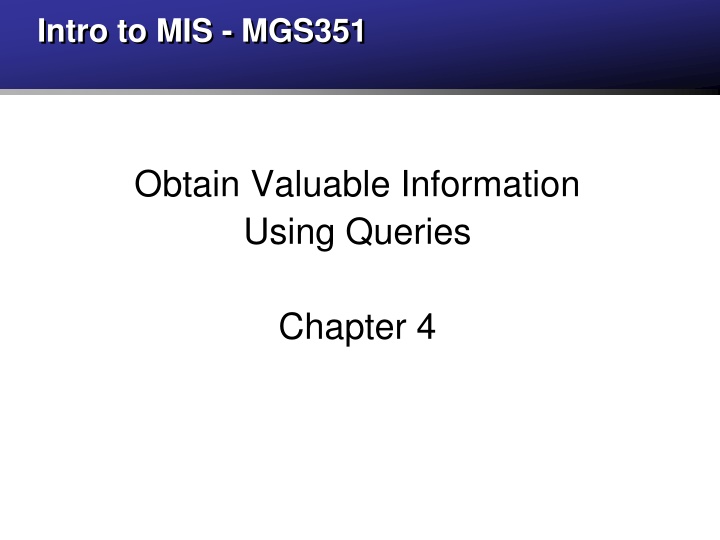 intro to mis mgs351