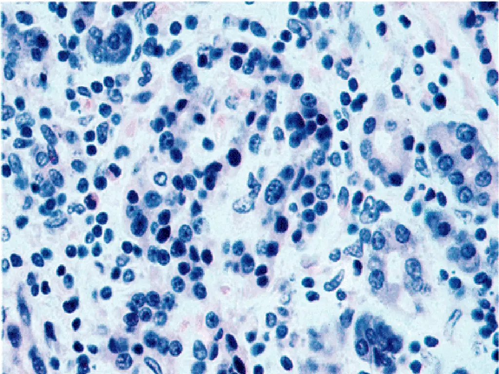slide27