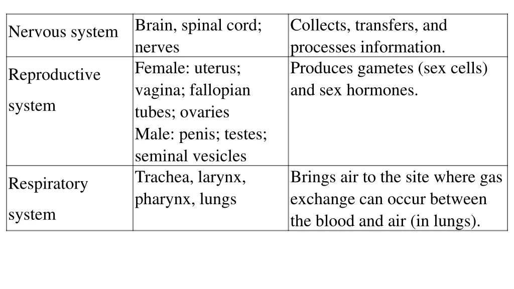 brain spinal cord nerves female uterus vagina