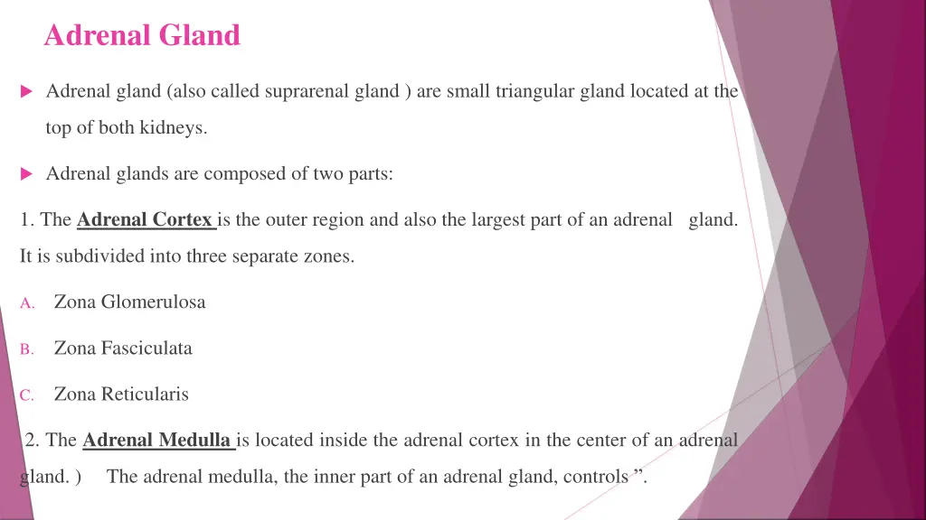 adrenal gland
