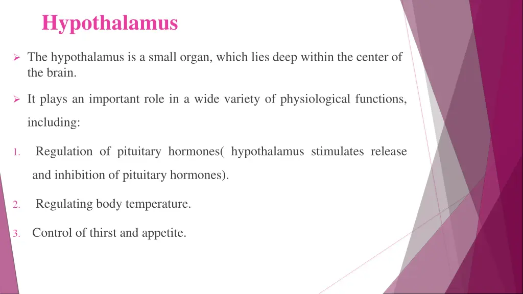 hypothalamus