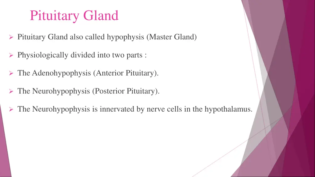 pituitary gland