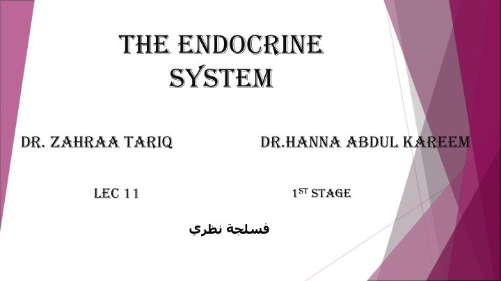 the endocrine system