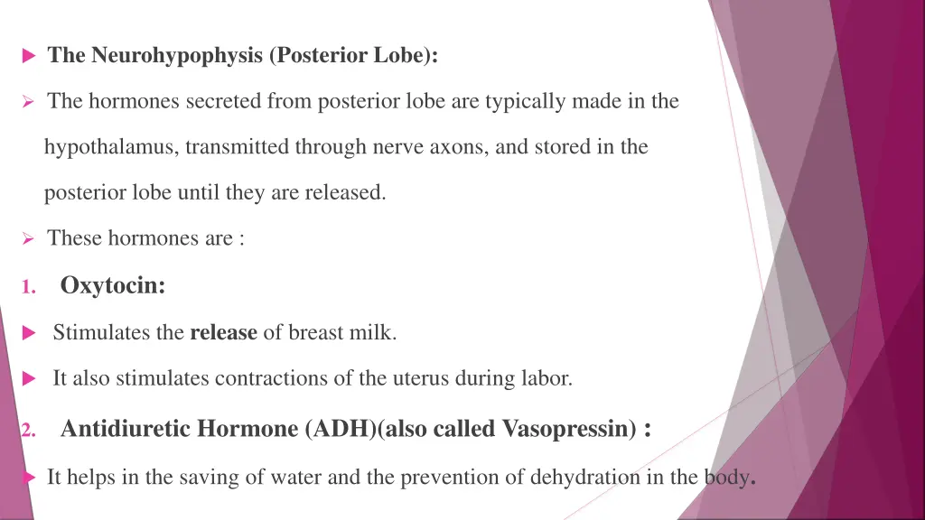 the neurohypophysis posterior lobe