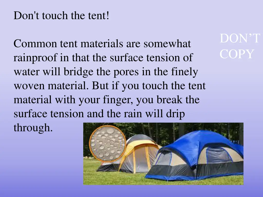don t touch the tent