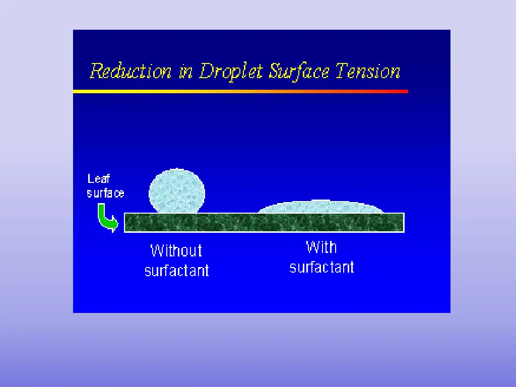 slide11