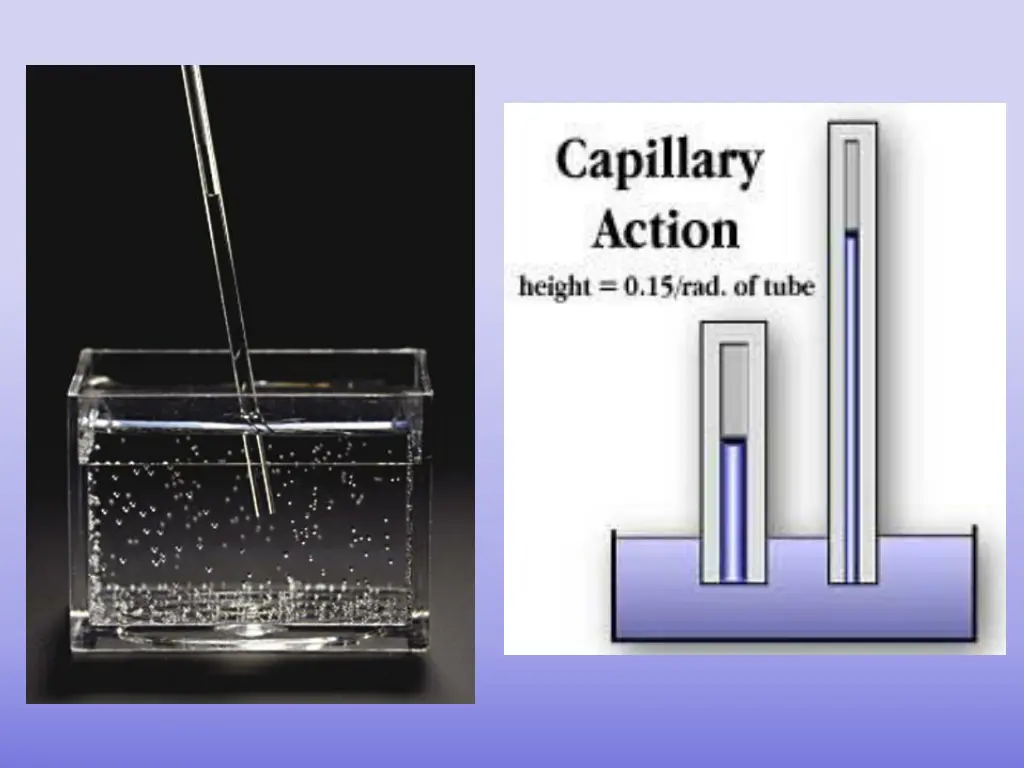 slide15