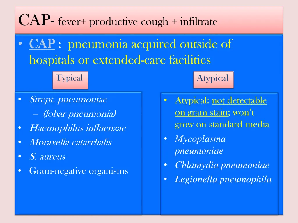 cap fever productive cough infiltrate