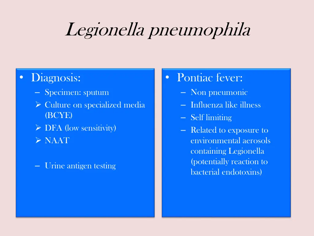 legionella pneumophila 1