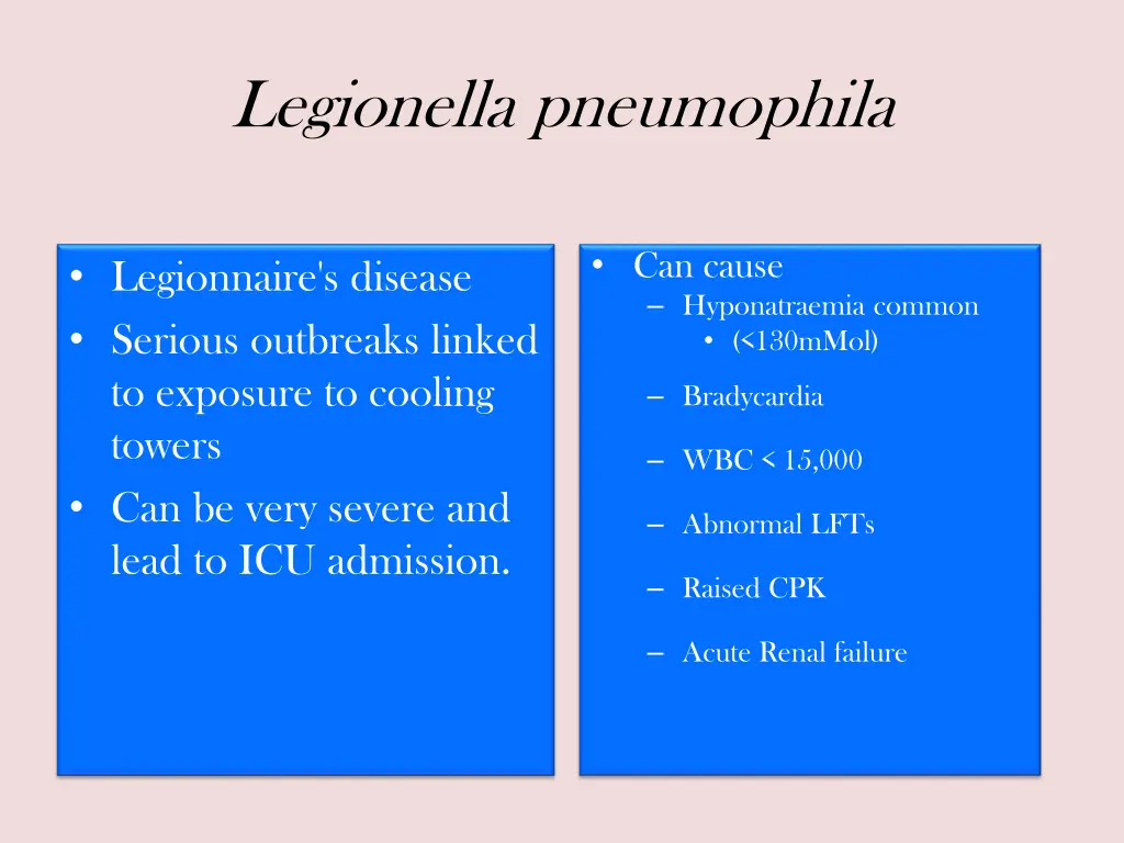 legionella pneumophila