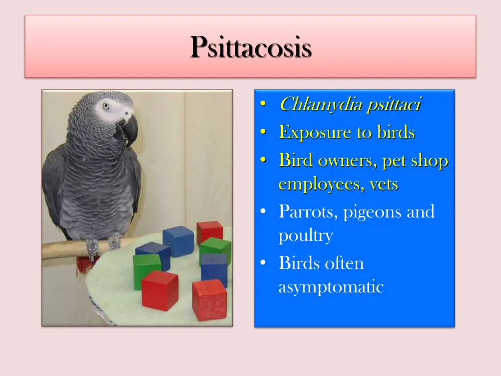 psittacosis
