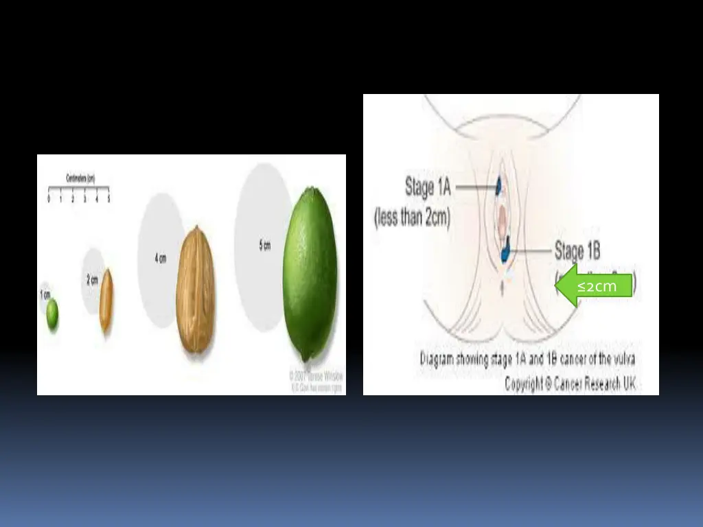 slide8