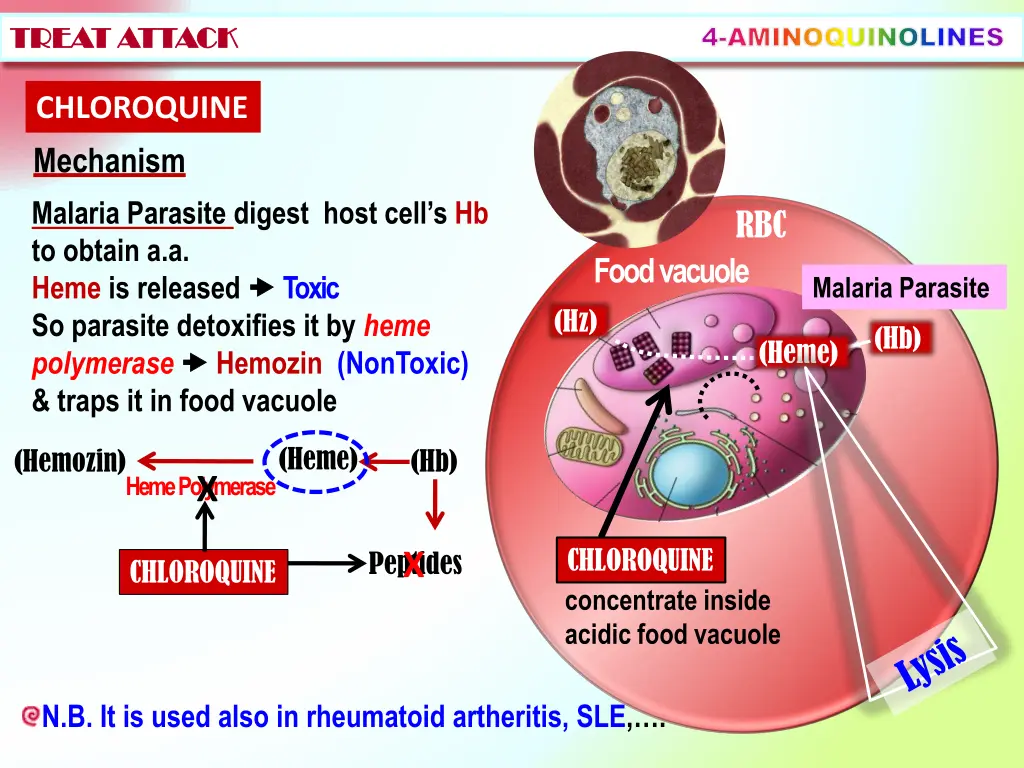 4 aminoquinolines 1
