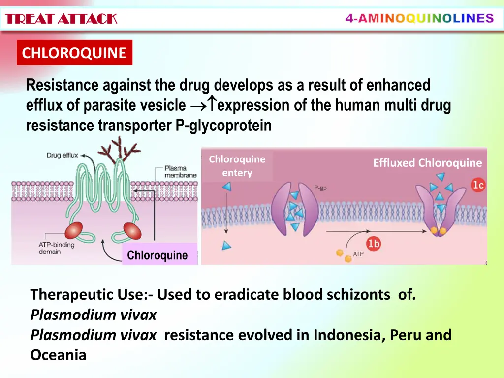 4 aminoquinolines 3