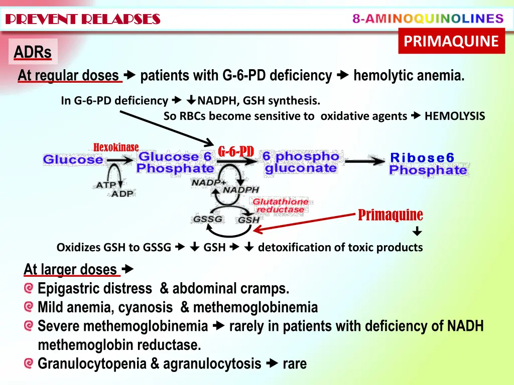 8 aminoquinolines primaquine 1
